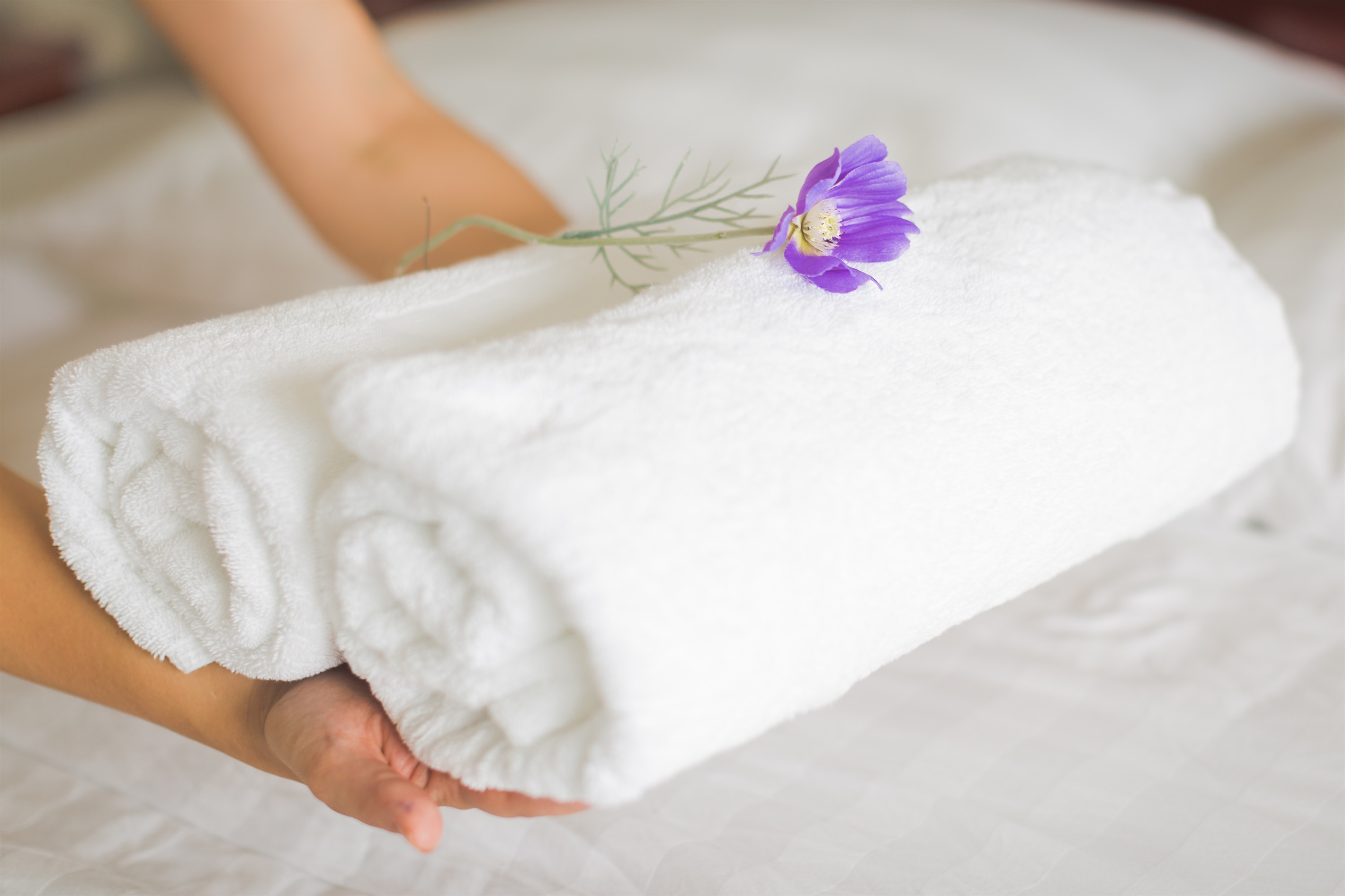 Daily House Keeping Included