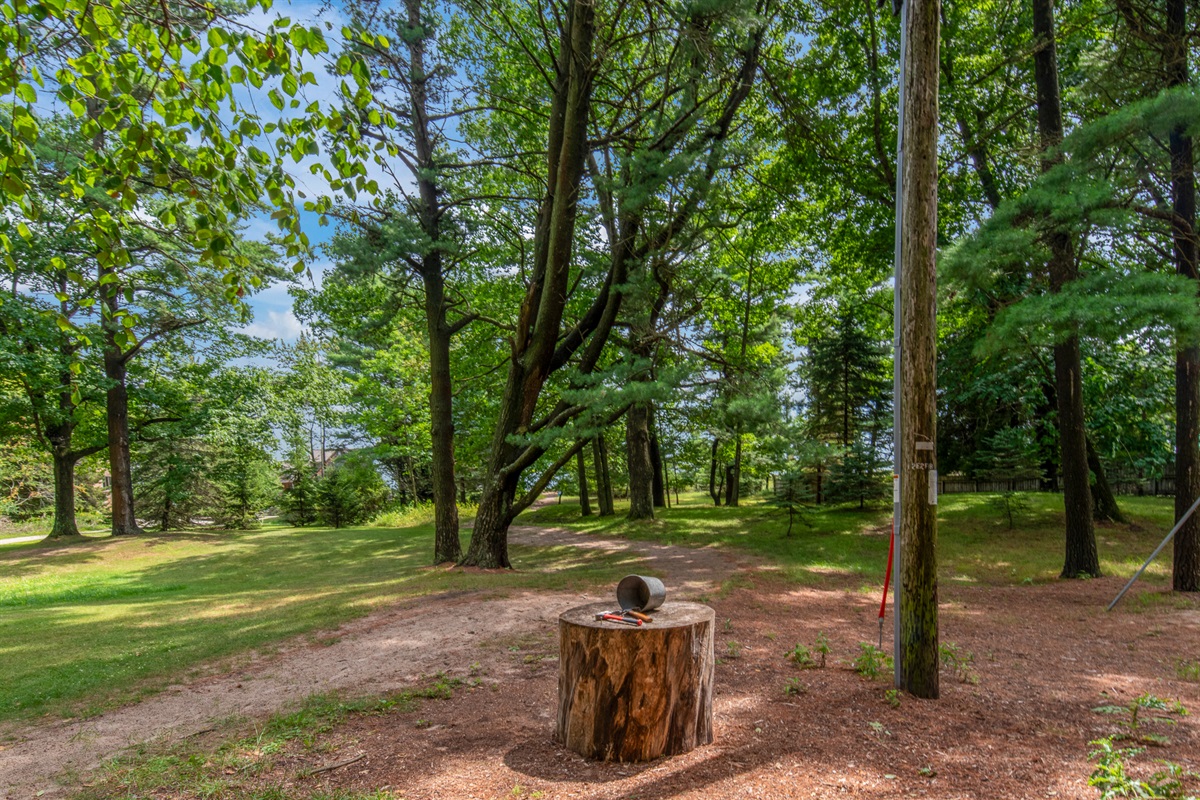 Peaceful wooded trail to beach.