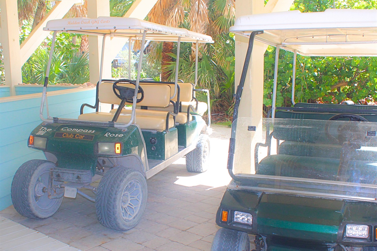 2 golf carts are included