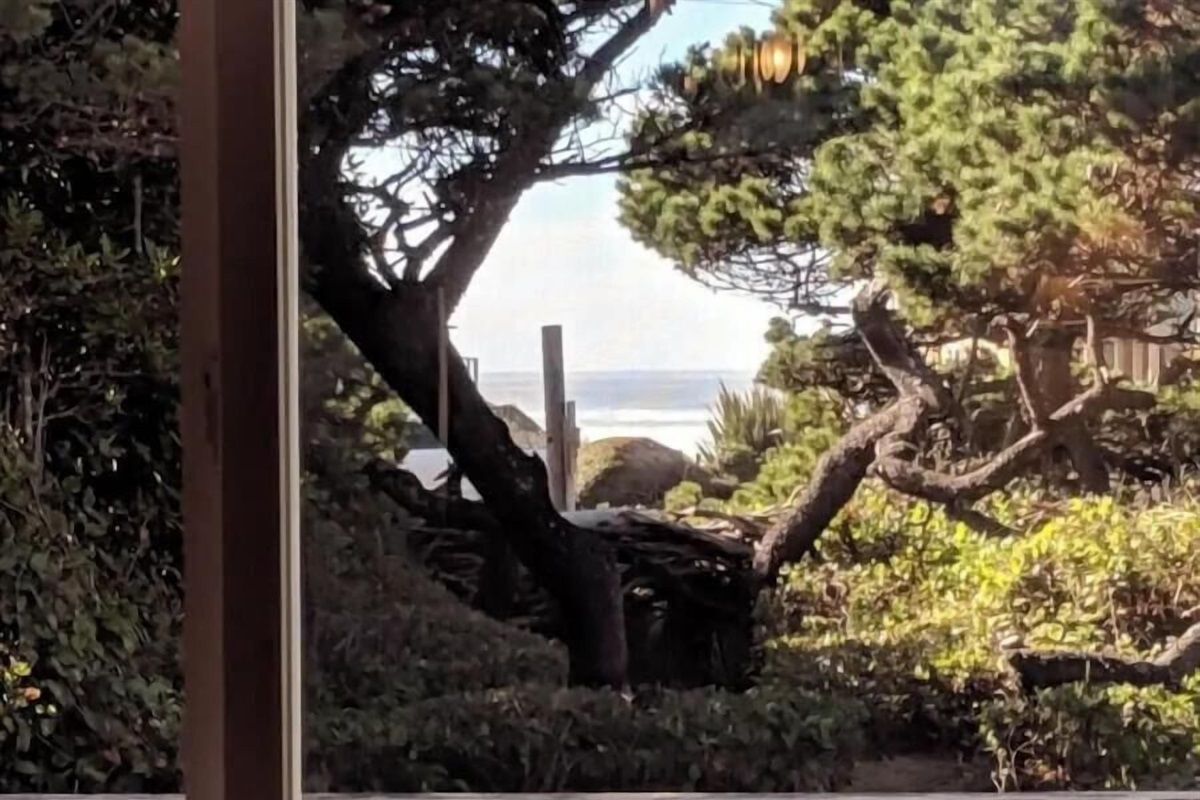 peek of a view from the dining room table