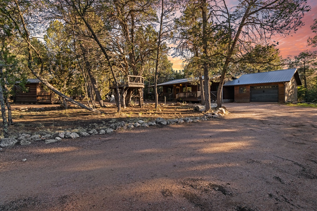 Tree fort + Playhouse + Garage access