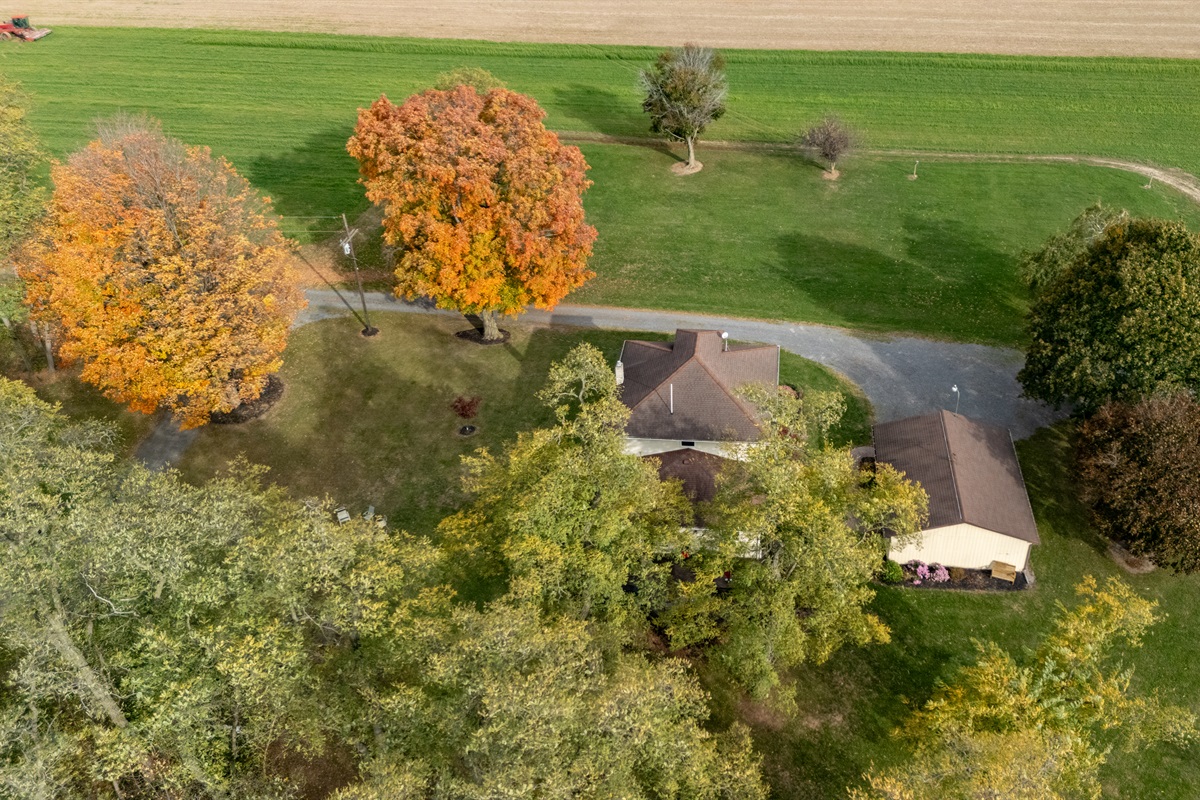 Vibrant foliage frames this cozy home — the perfect autumn hideaway