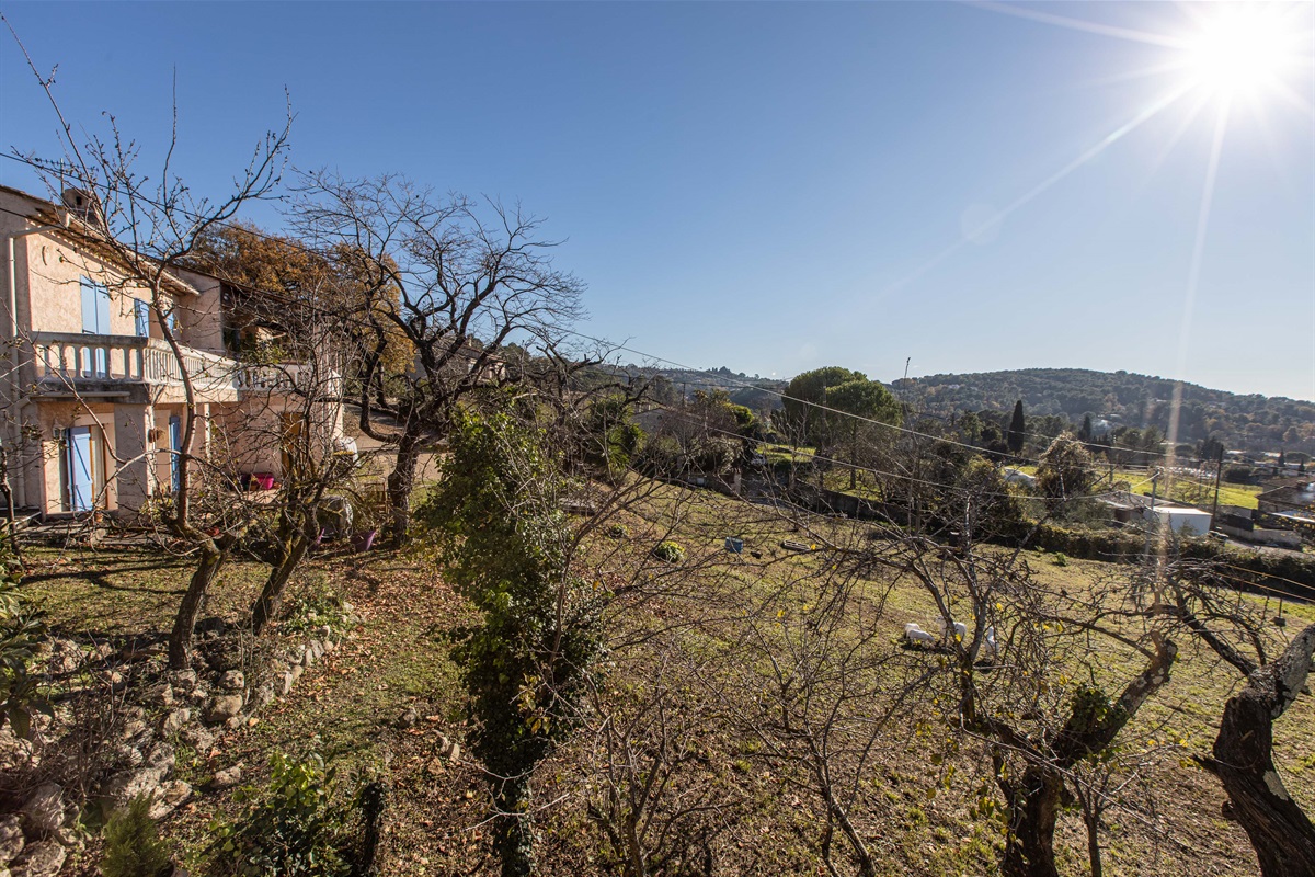 Garden/Mountain View