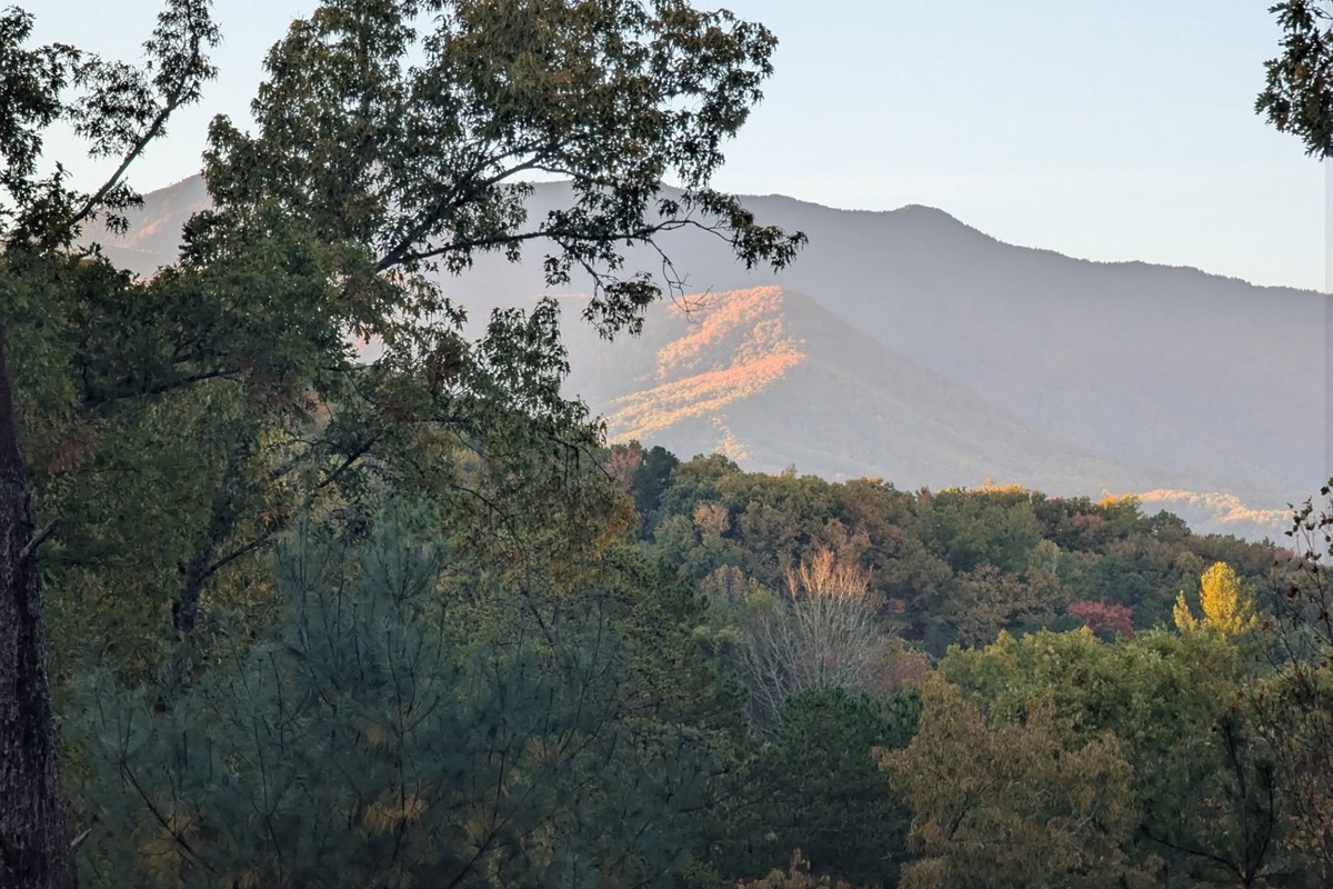 We love when guests share photos with us like this one of the early fall view.