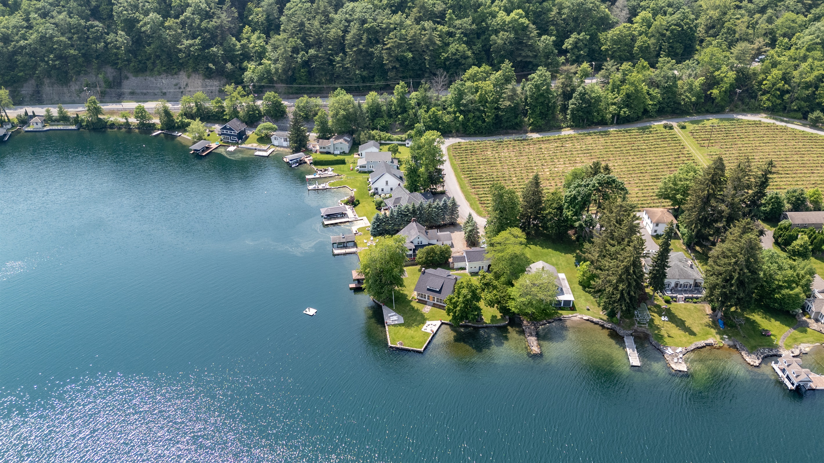 A stunning aerial view of lakeside living meets vineyard charm—private docks, waterfront homes, and lush grape rows create the perfect Finger Lakes retreat.