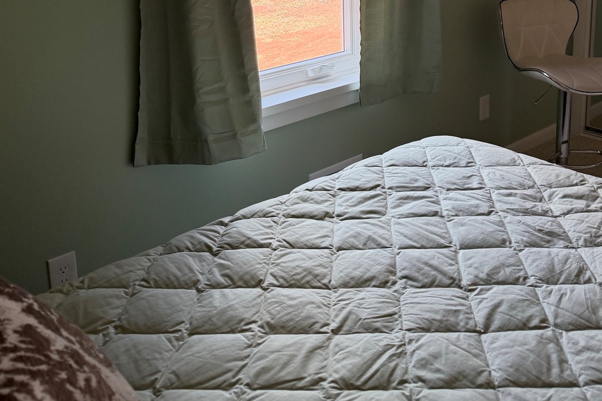 View out of twin bedroom of backyard and woods