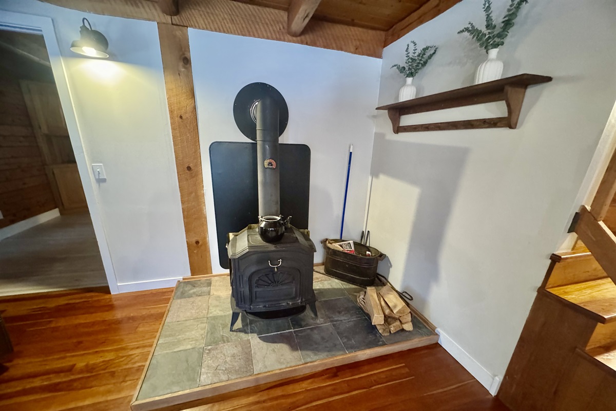 Living room woodstove