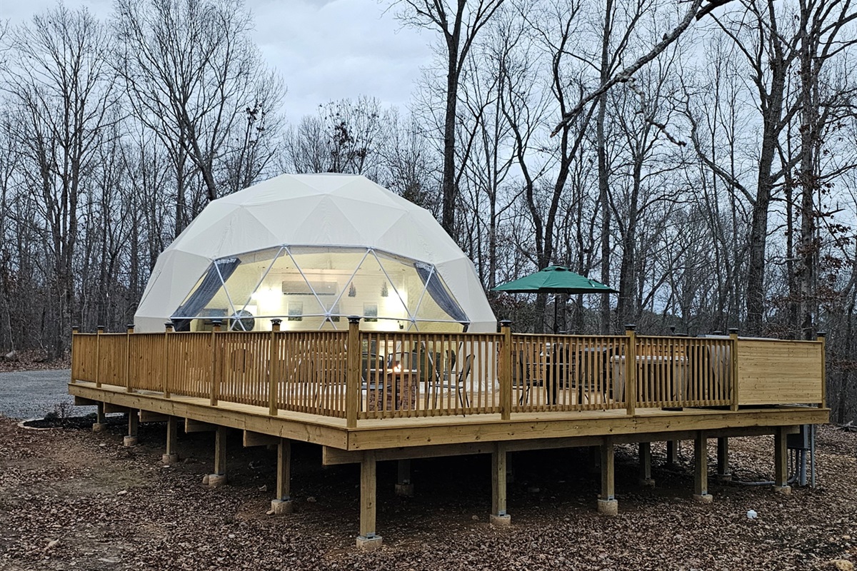 Where the forest grows quiet and the dome comes alive