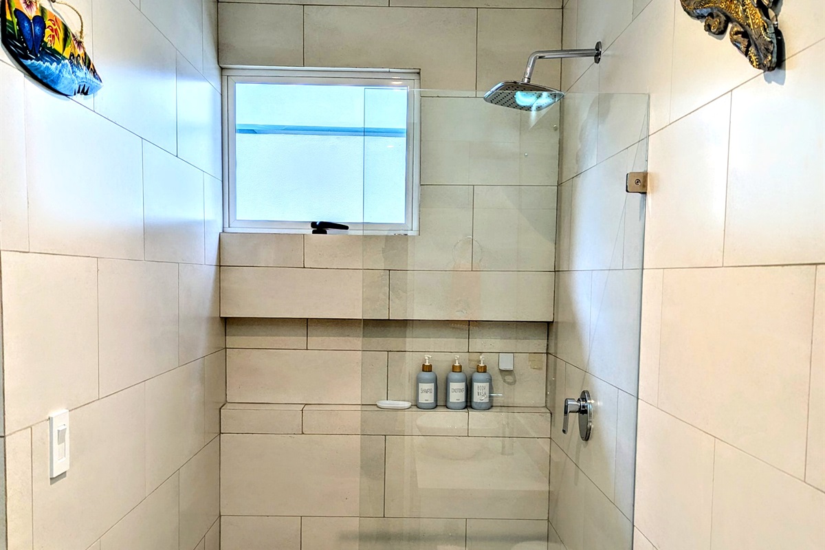 Downstairs Guest Bathroom shower