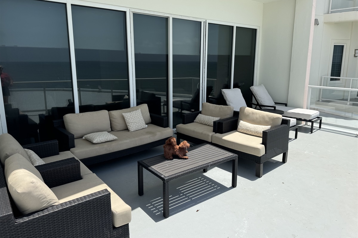 BRAND NEW Loungers!