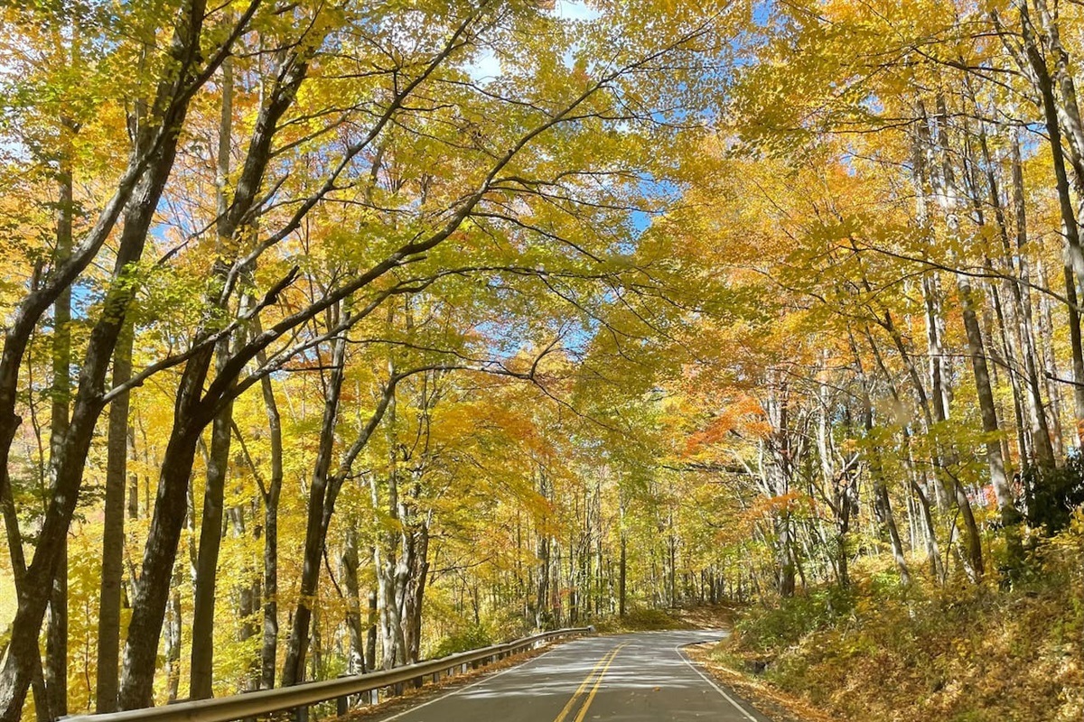 Highway 209 during peak leaf season