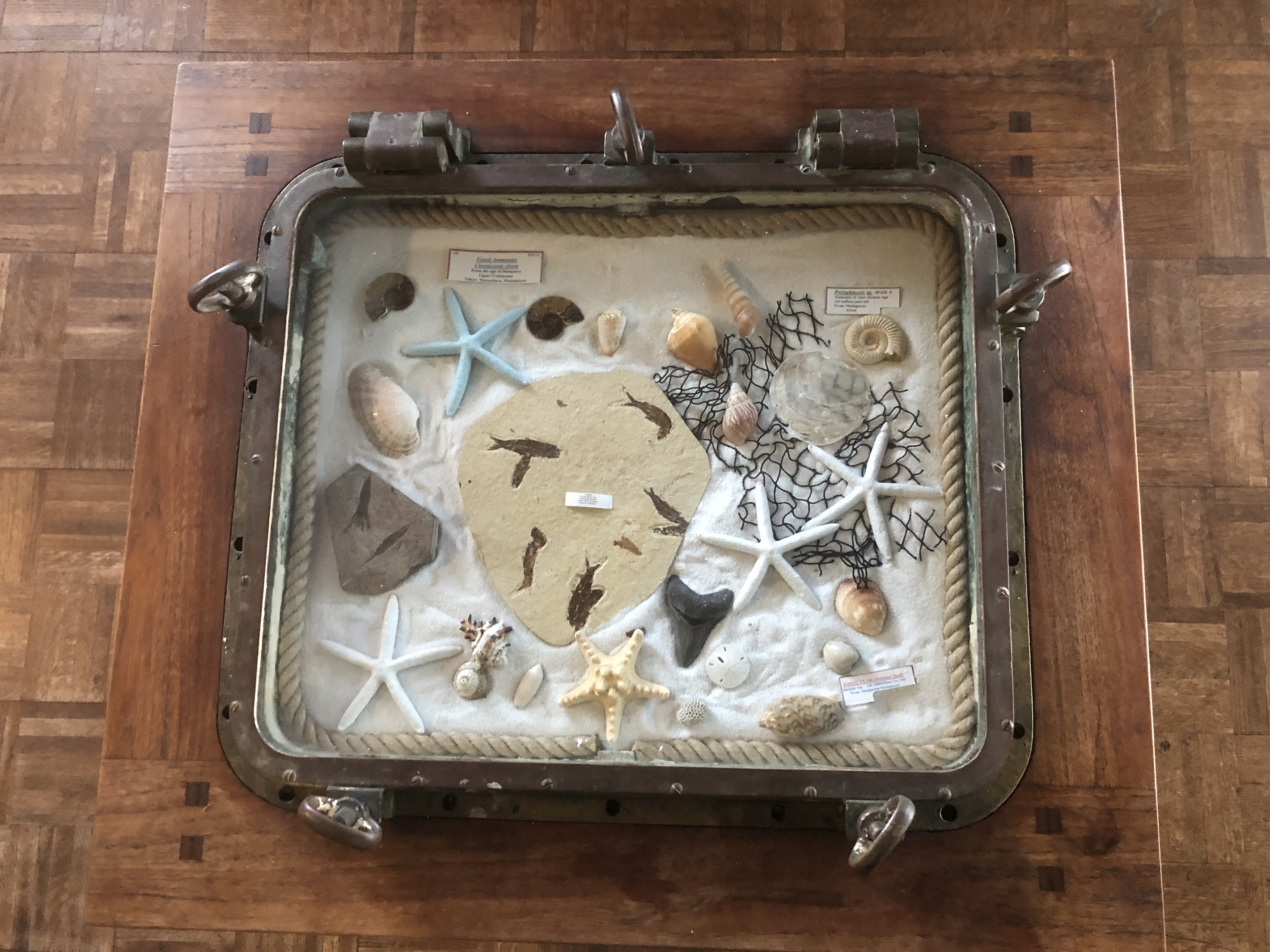 Antique ship port hole, Megalodon shark teeth and various other fossils.