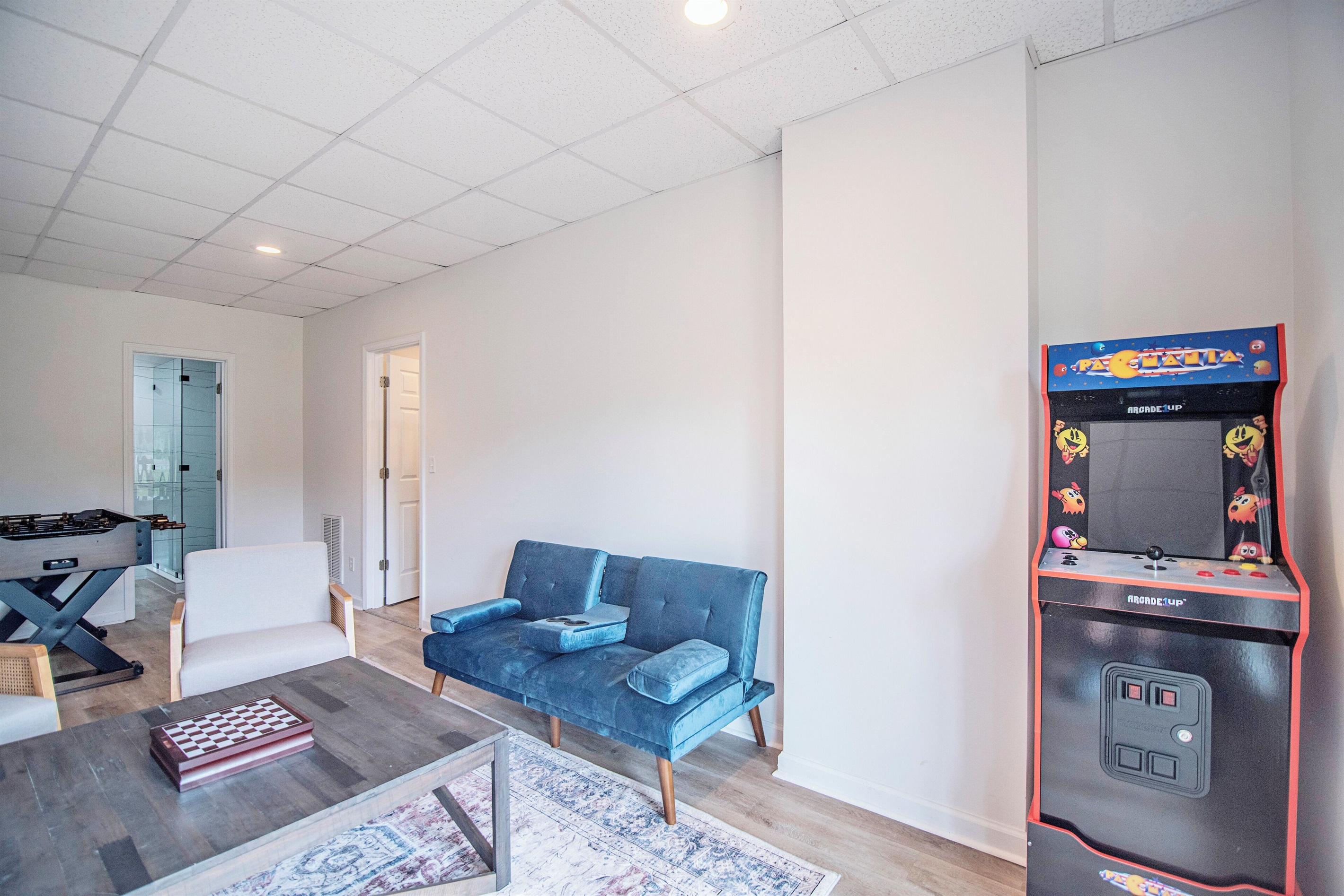 Basement Living Room