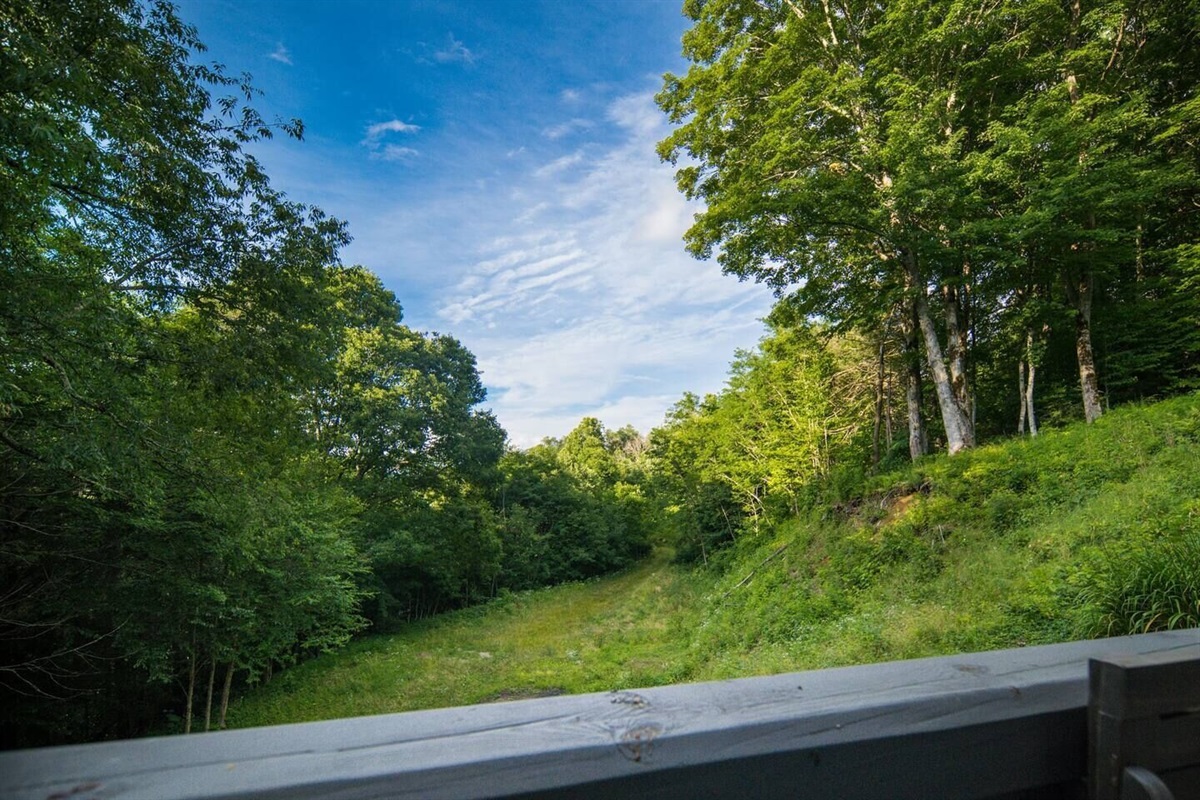 Unit 2: View from back deck