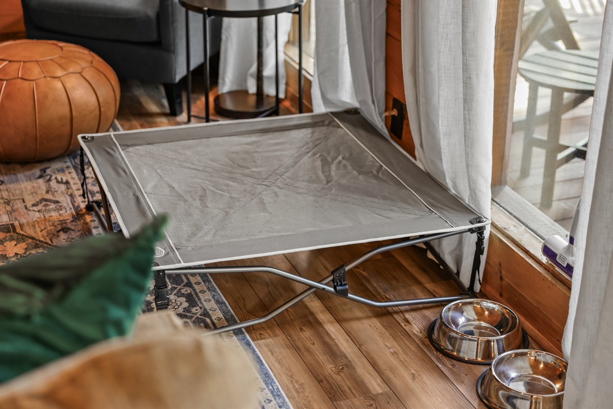 Dogs are welcome! We provide a folding dog bed (30x30), and dog bowls