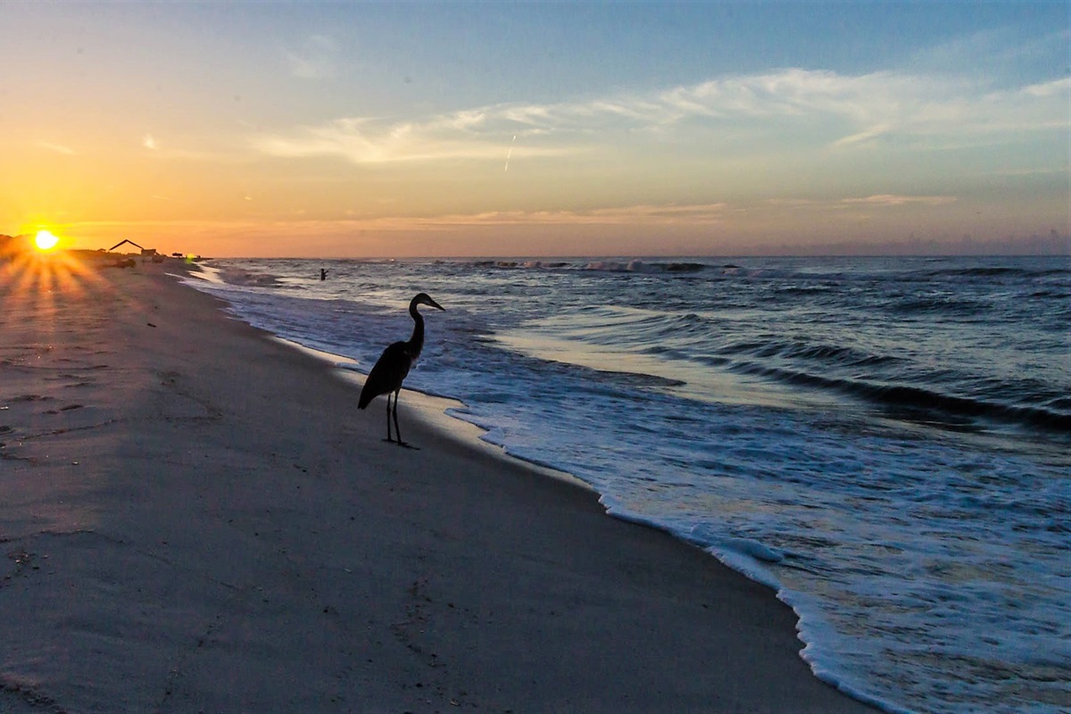 From sunrise to sunset, immerse yourself in the ever-changing beauty of this coastal panorama.  A feast for the senses.