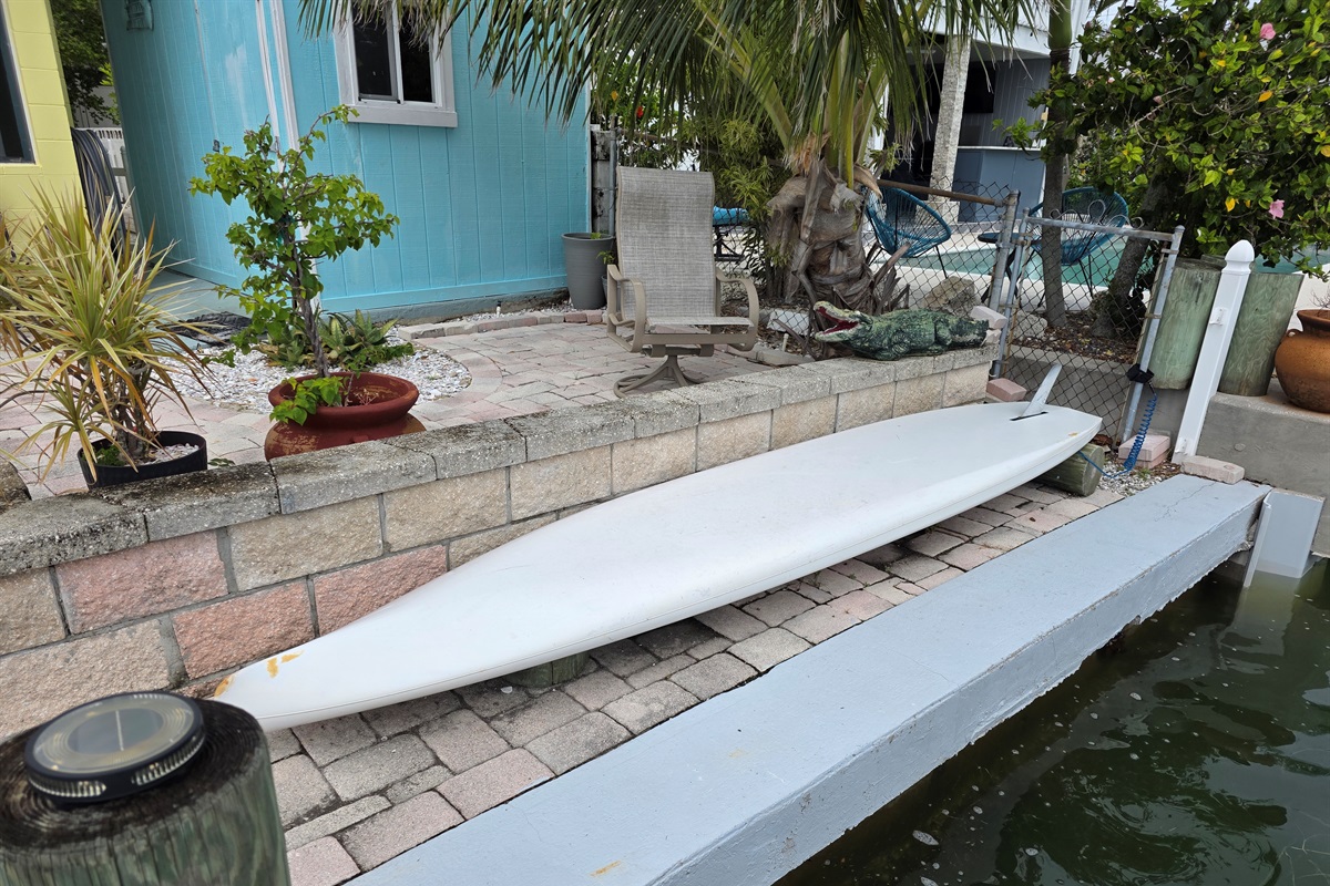 We loved the stand up paddle board. It was cool....A dolphin came right up to me.