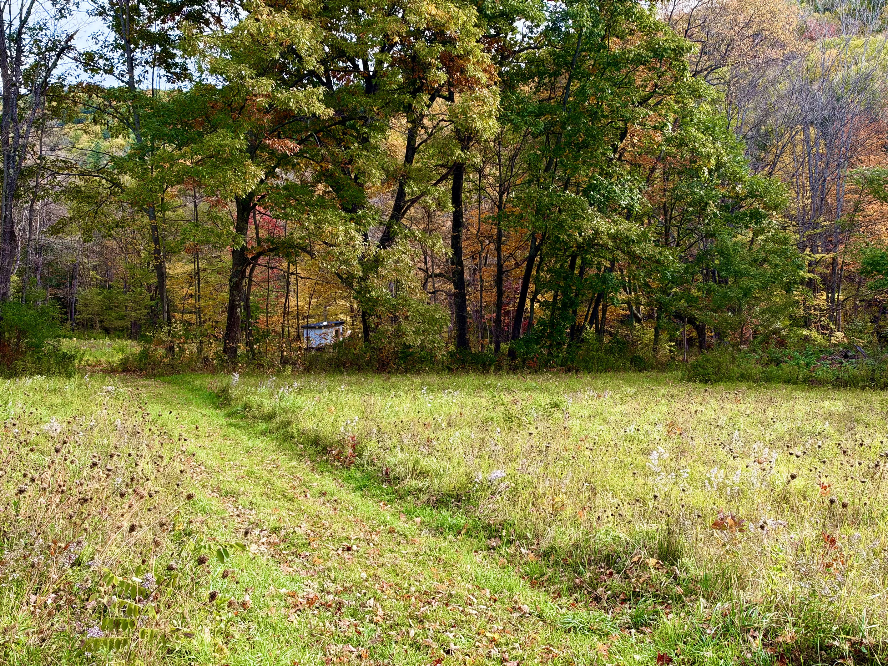 10 acres of private meadows are all yours.