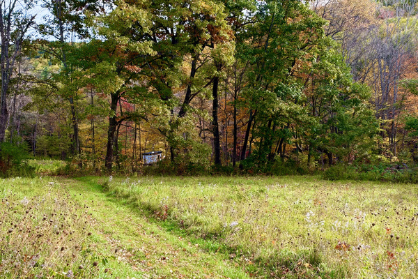 10 acres of private meadows are all yours.