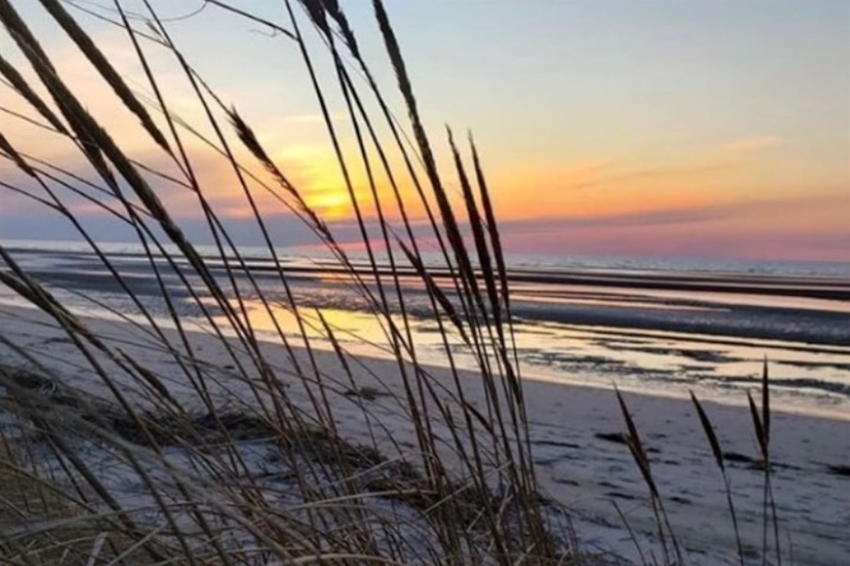Enjoy vibrant colors of a stunning sunset glow over the horizon, framed by wispy beach grasses in the foreground. This peaceful view highlights the natural beauty of the shoreline, perfect for a relaxing coastal retreat.