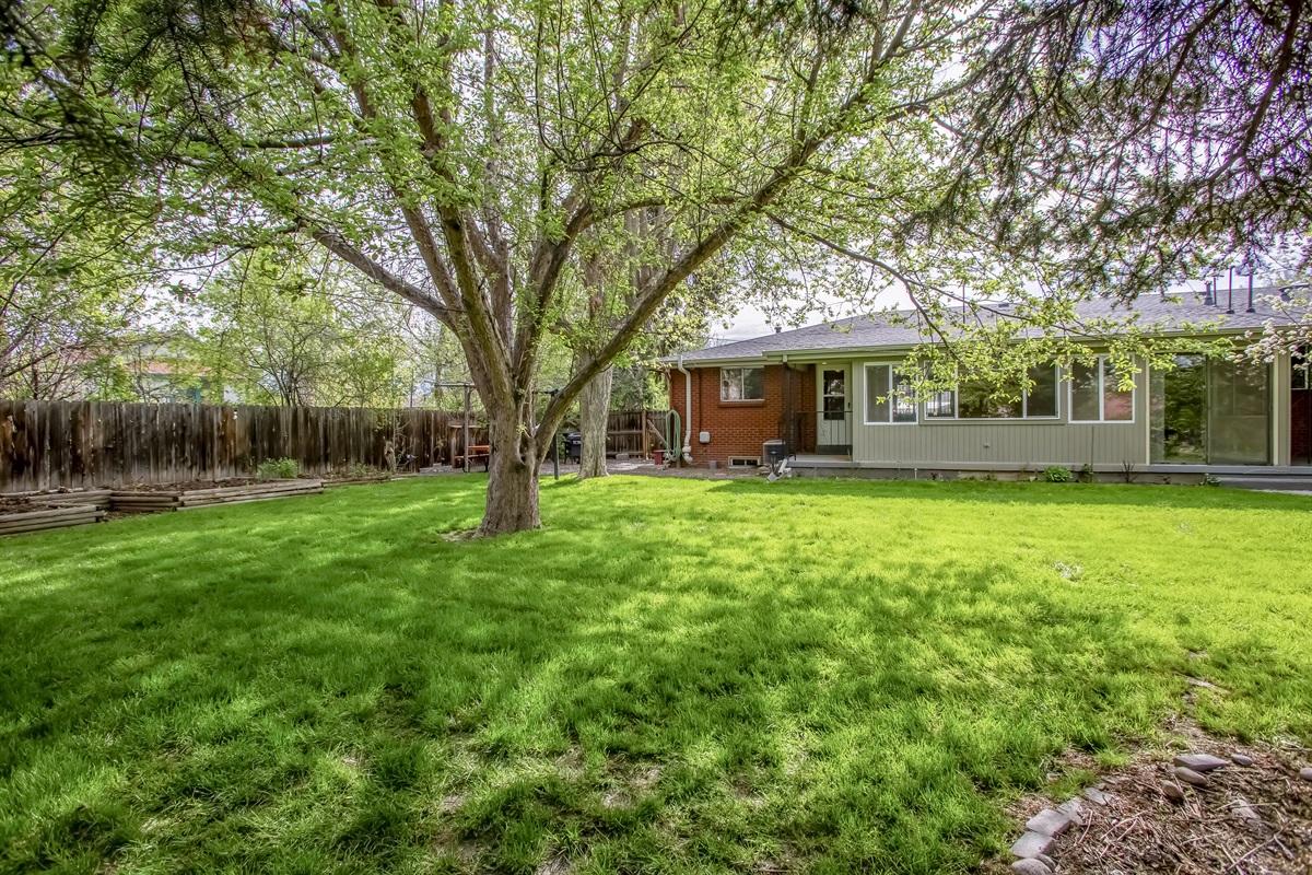 Privately fenced in backyard with beautiful trees attracting unique Bird species.