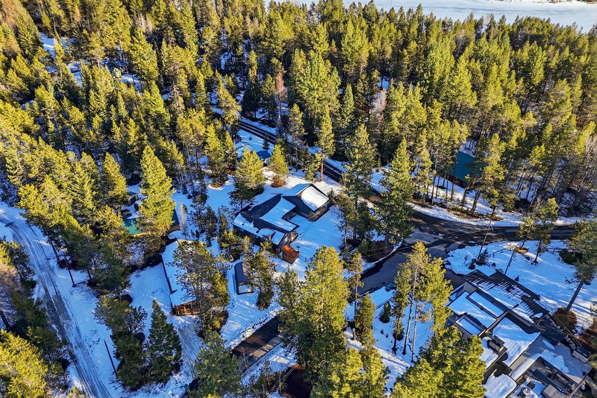 Modern luxury meets peaceful mountain woods.