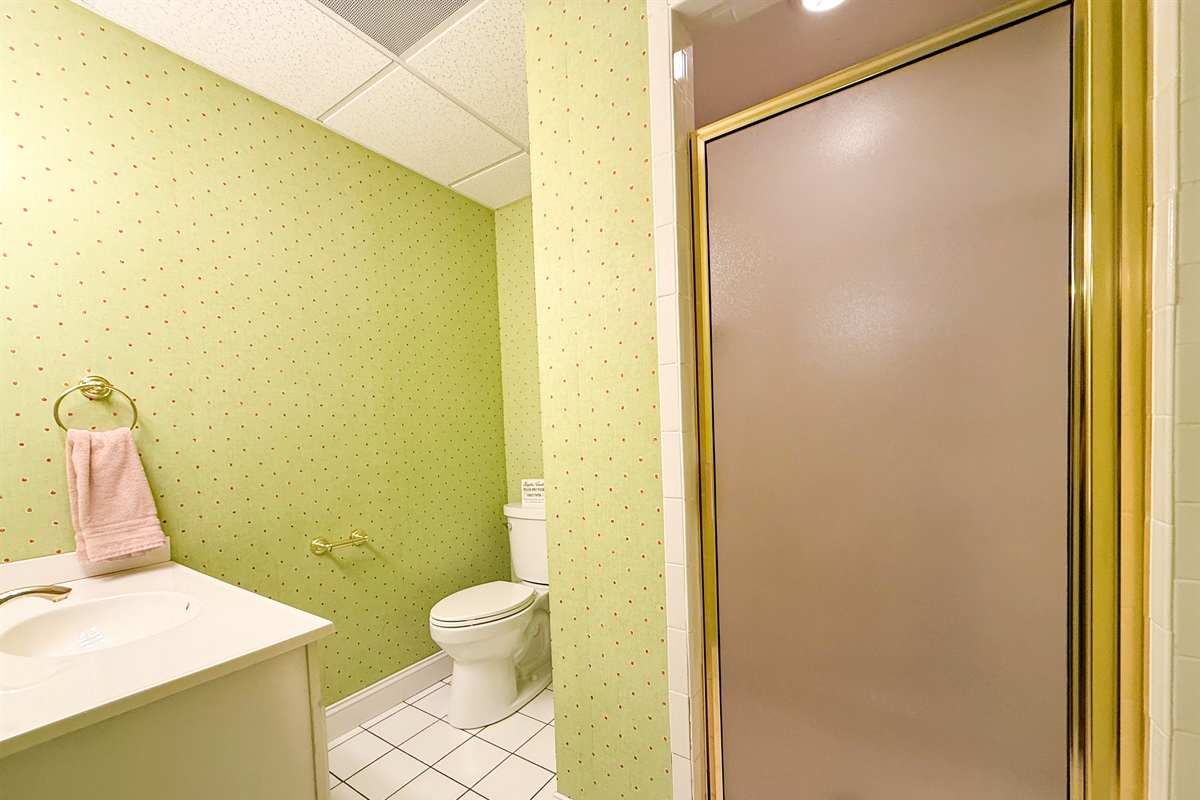 The basement bedroom’s connected bathroom includes a sink, toilet, and a walk-in shower.