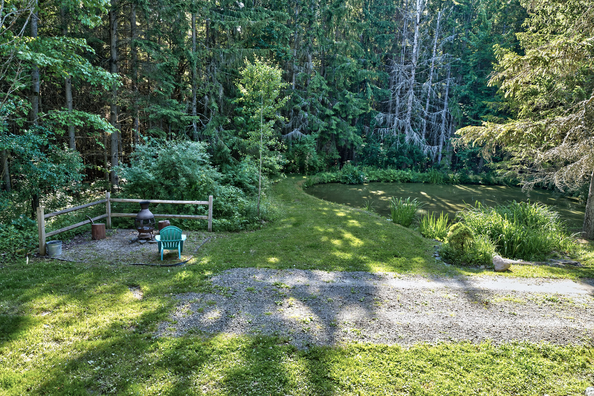 Gravel driveway through the wooded grounds