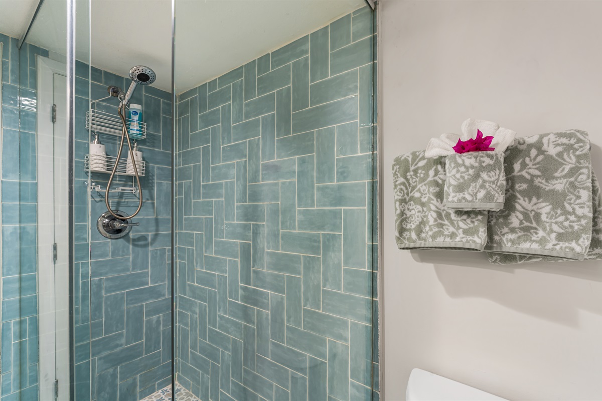 Coastal vibe shower with shampoo, conditioner and body wash