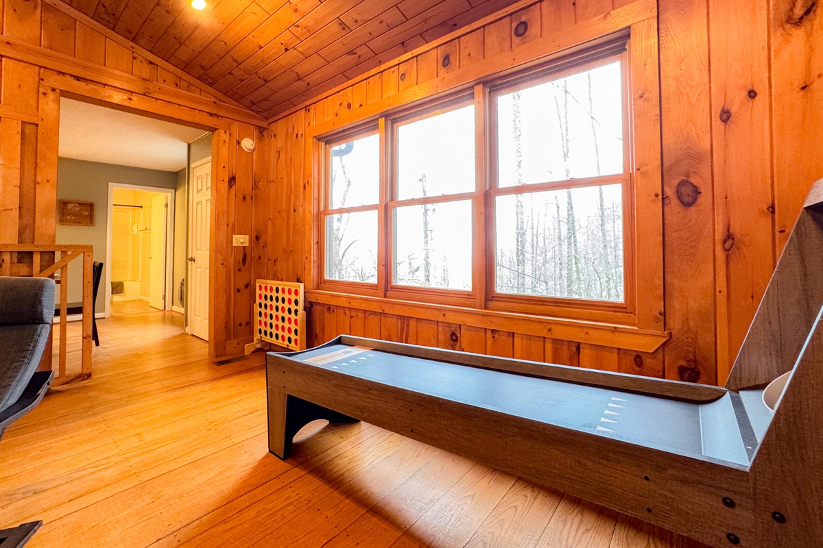 ski-ball overlooking the Smoky Mountains