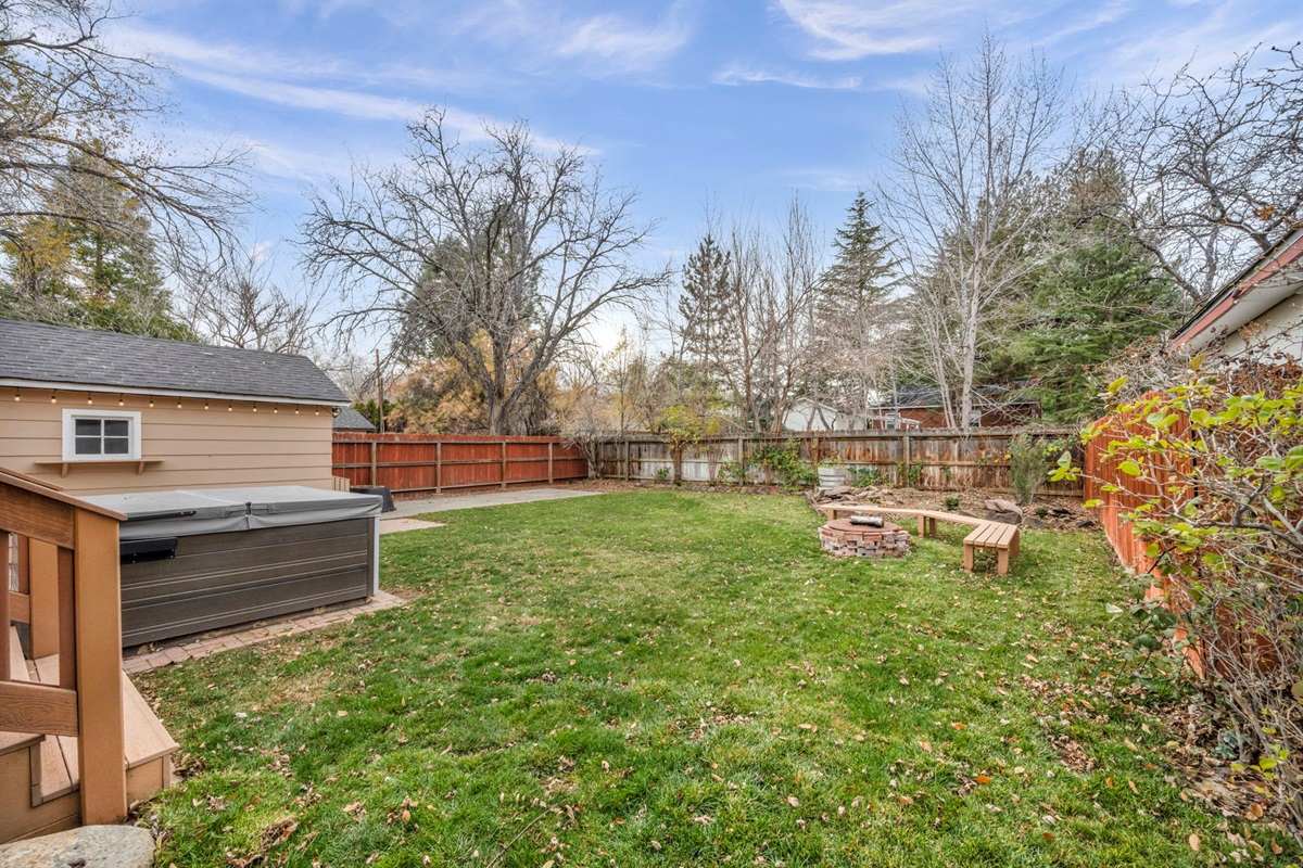 The fenced back yard.