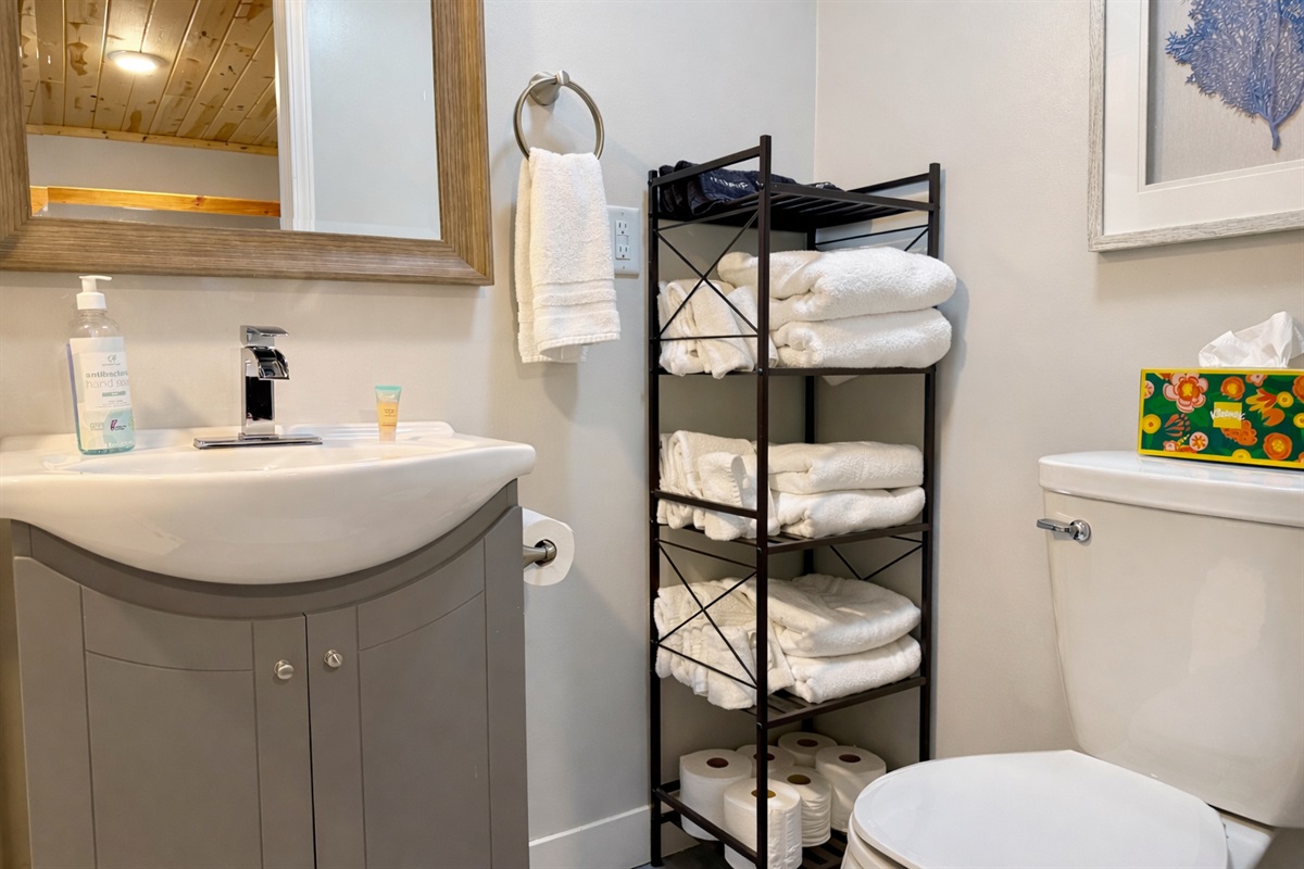 Modern basement bathroom with clean lines and a crisp, fresh design. Bright, functional, and thoughtfully updated.