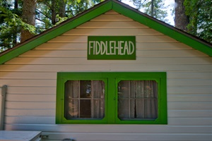 FIDDLEHEAD cabin signal
