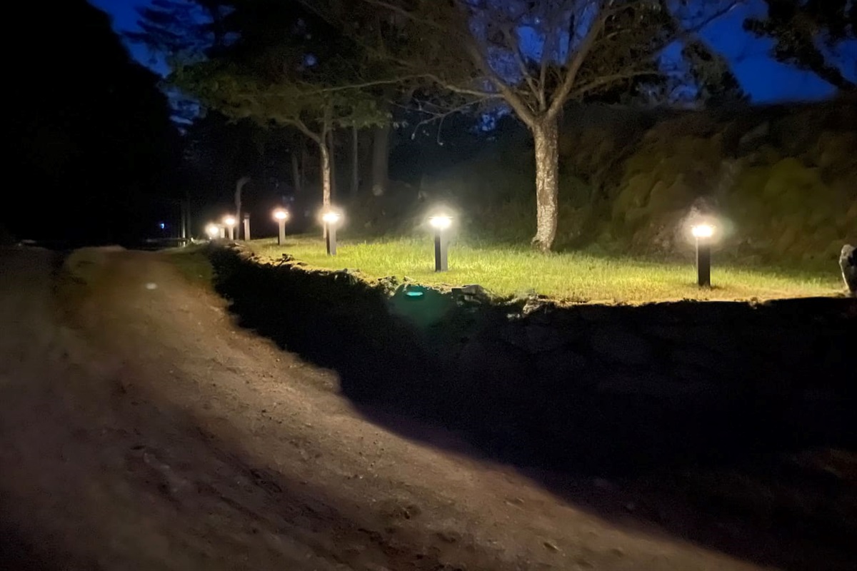 Path To Entrance Lit At Night