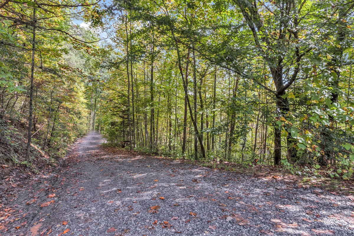 Beautiful gravel driveway