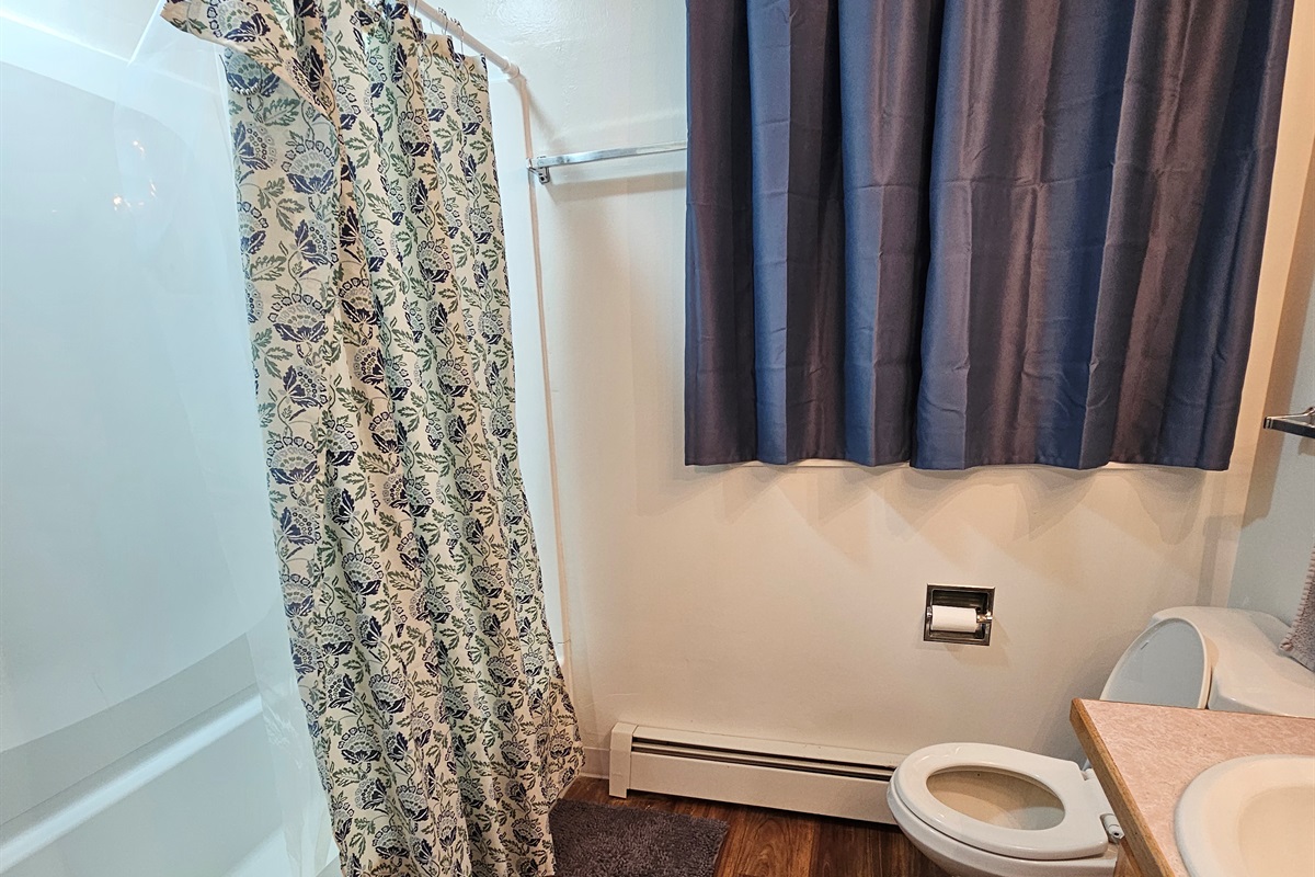 Hall Bathroom - Upstairs