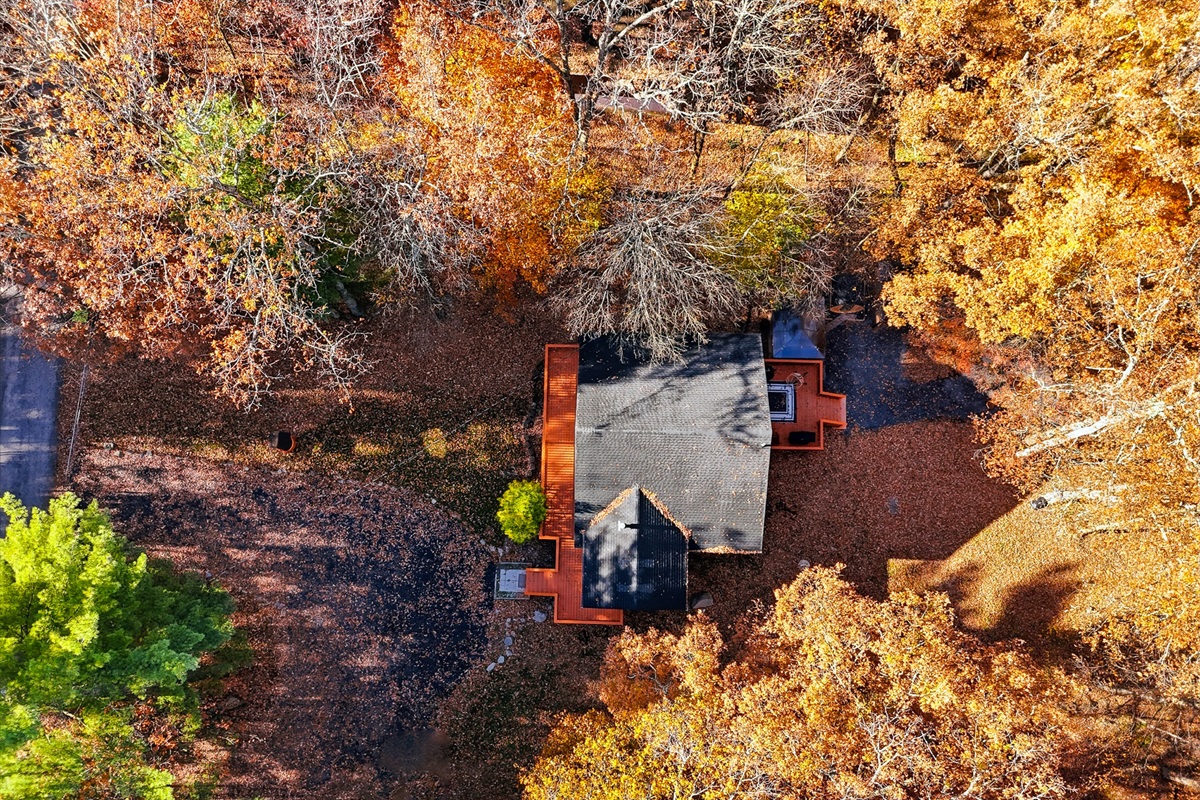 Aerial showing house amongst the trees