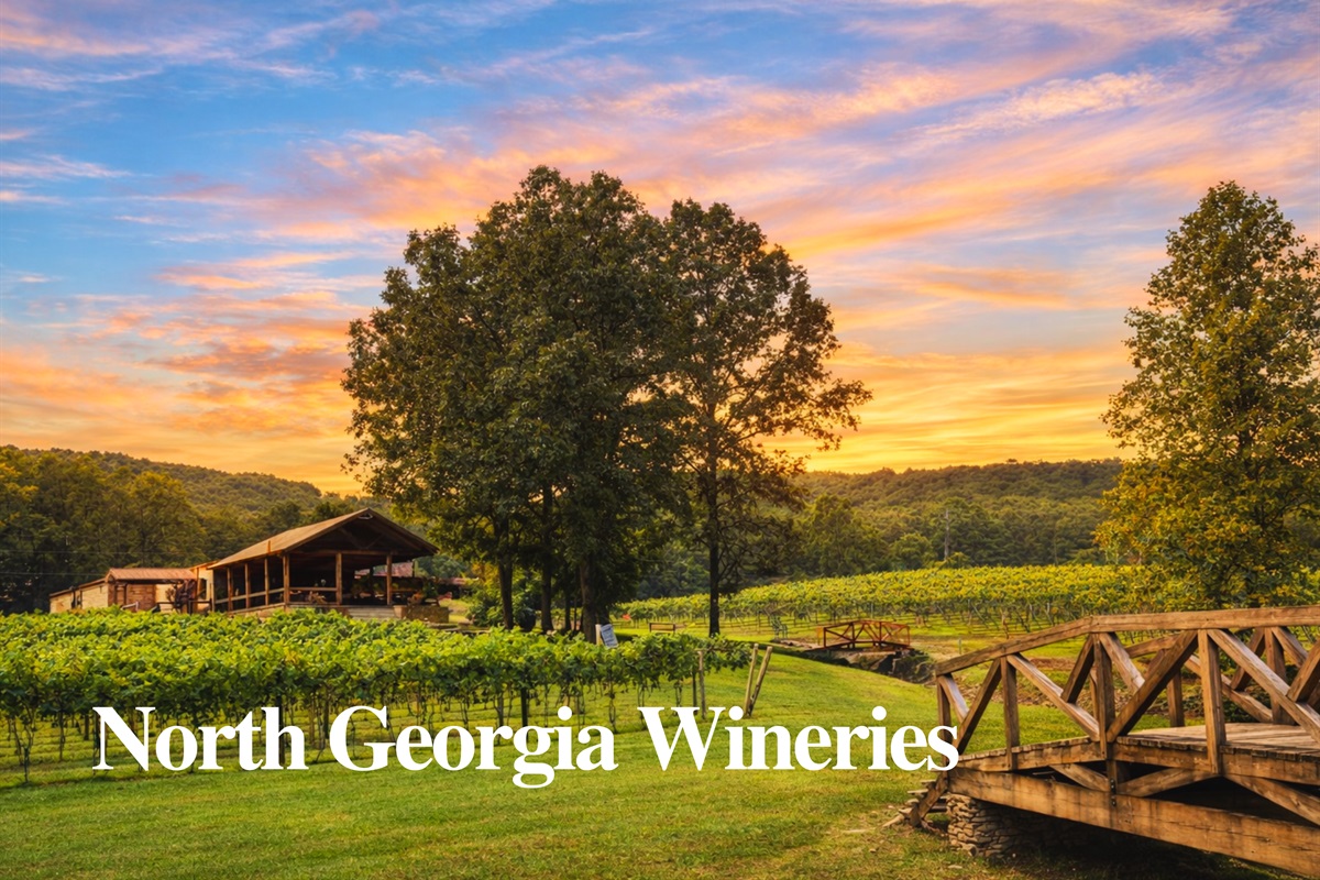 Sip, relax, and soak in the views at North Georgia&rsquo;s scenic wineries. Enjoy award-winning wines, live music, and mountain charm, perfect for a laid-back afternoon.