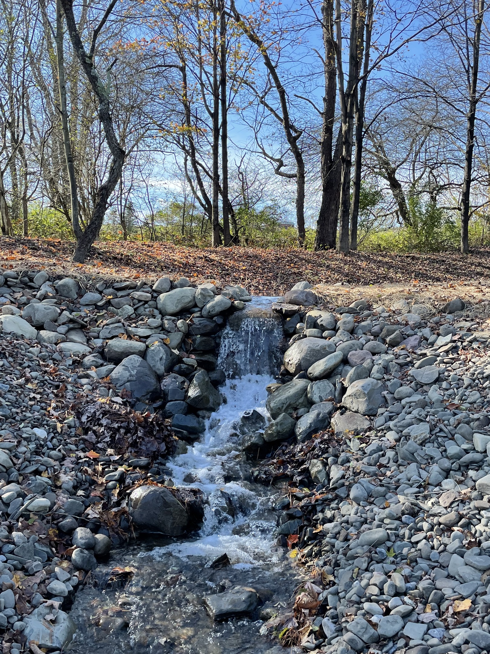 Brook at the property's edge