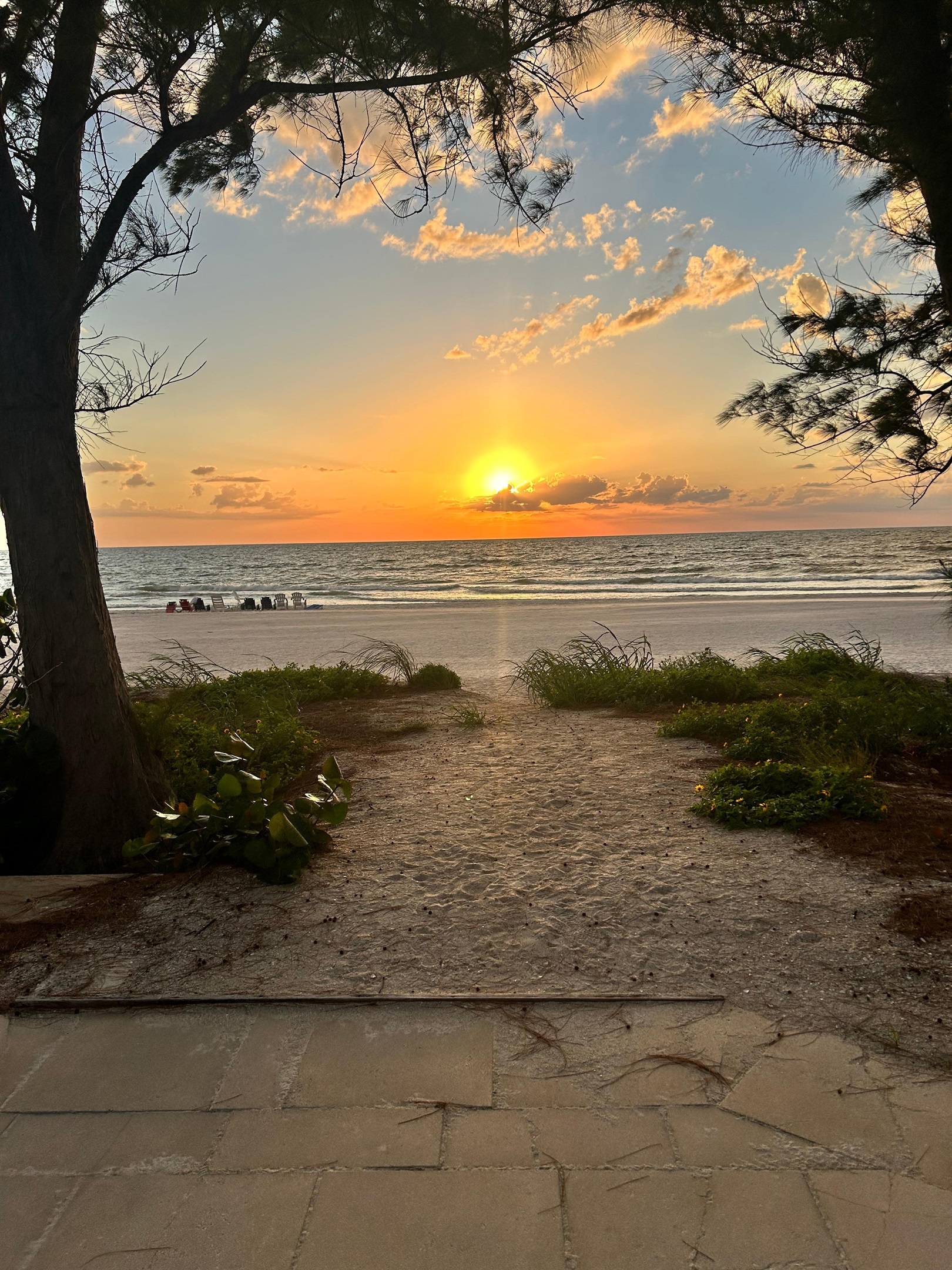 Backyard is the BEACH/Unique Beach House/Beautiful