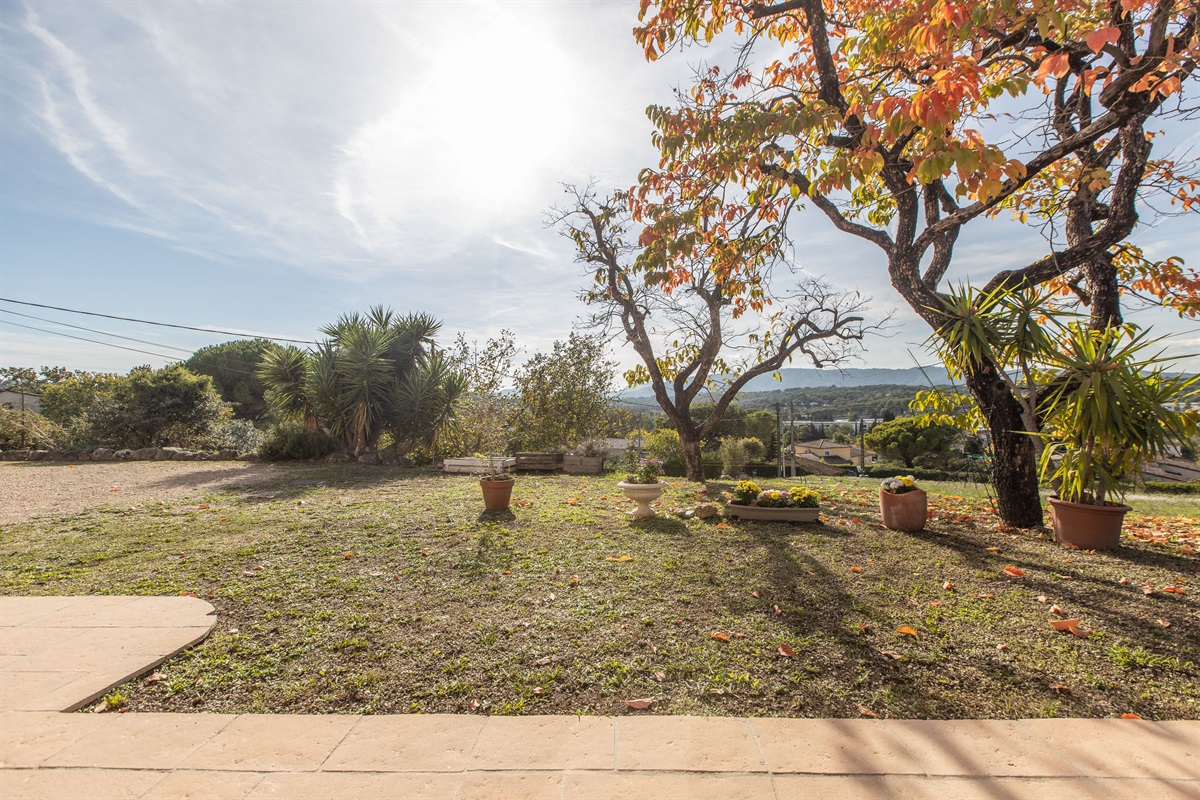 Garden/Mountain View