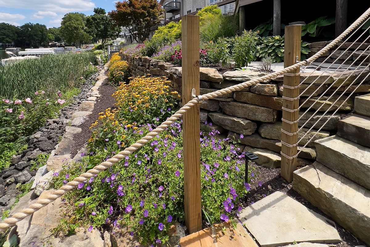 Wildflowers in Landscaping
