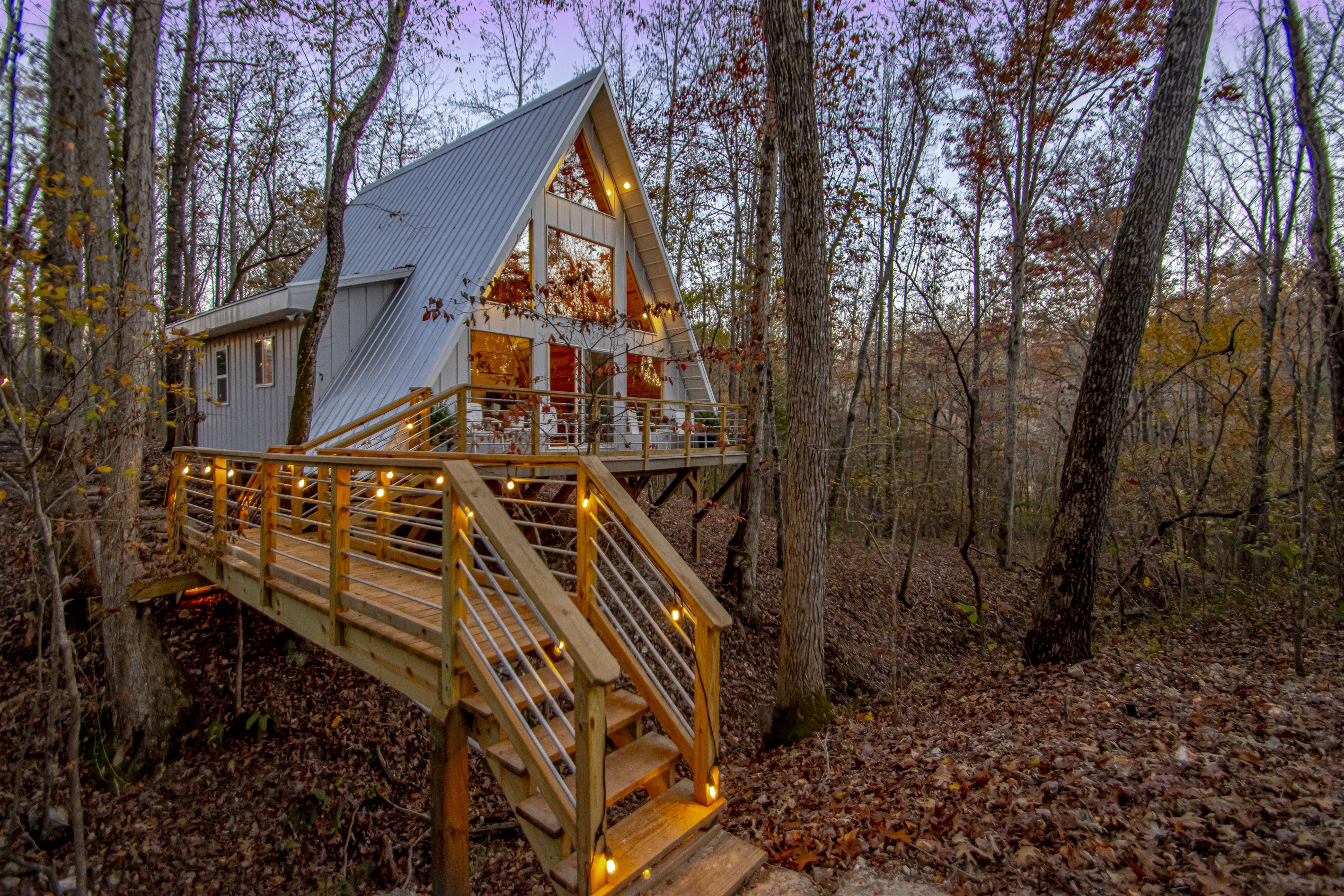 Dog Wood Tree Loft at Dusk