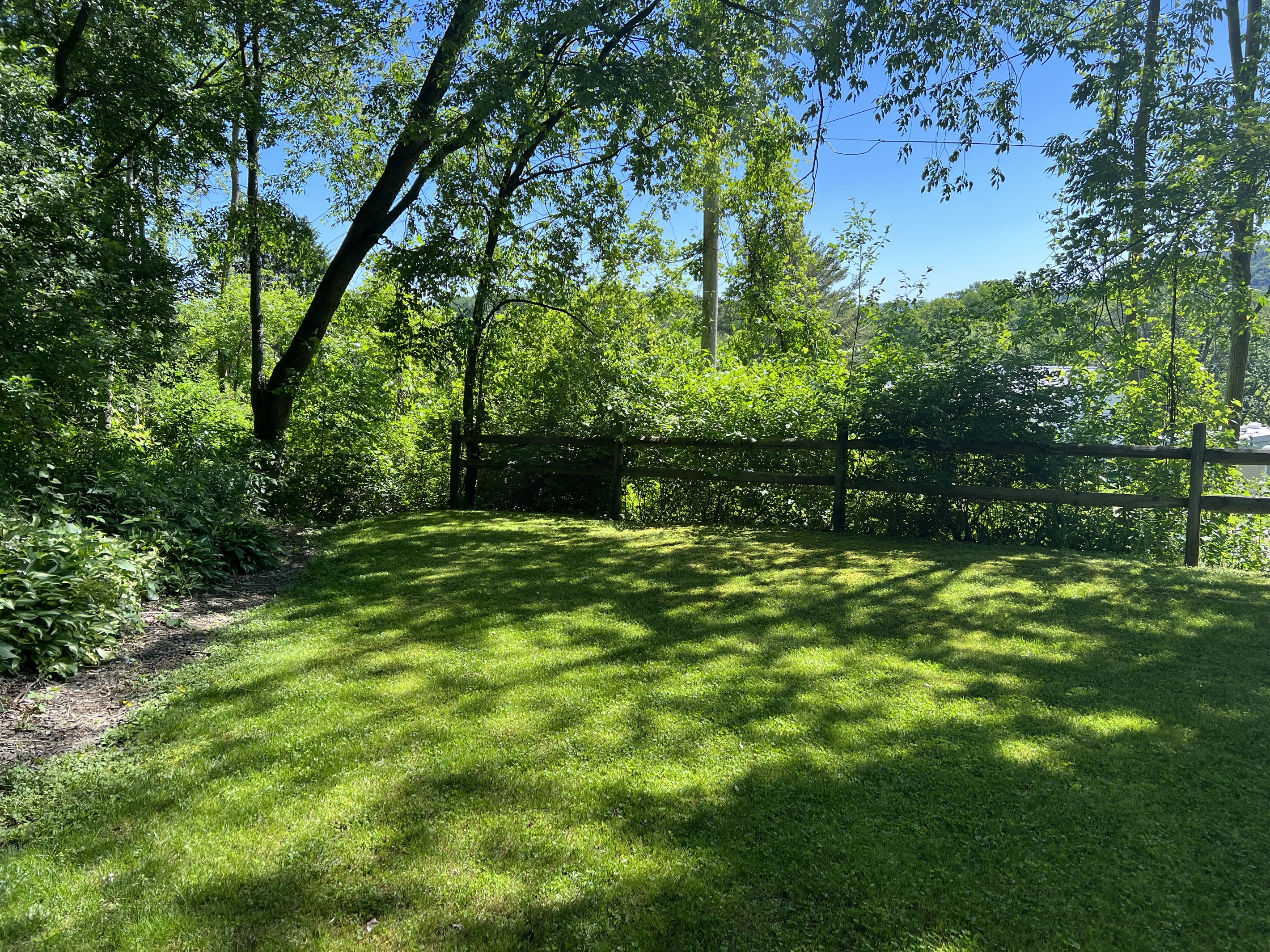 Side yard