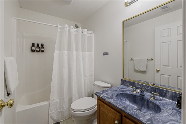 Lower level bathroon