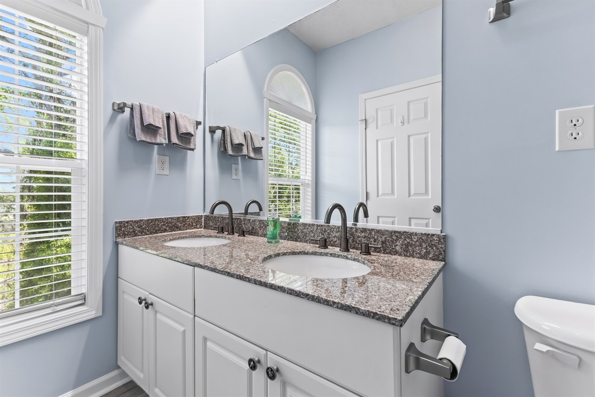 Double Sink