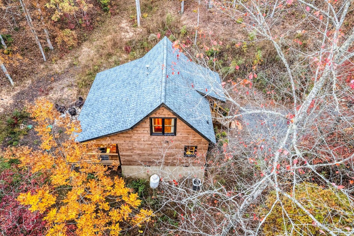 Rustic charm amid nature's embrace.