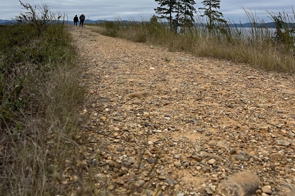 Hiking trail near Broken Bow Lake