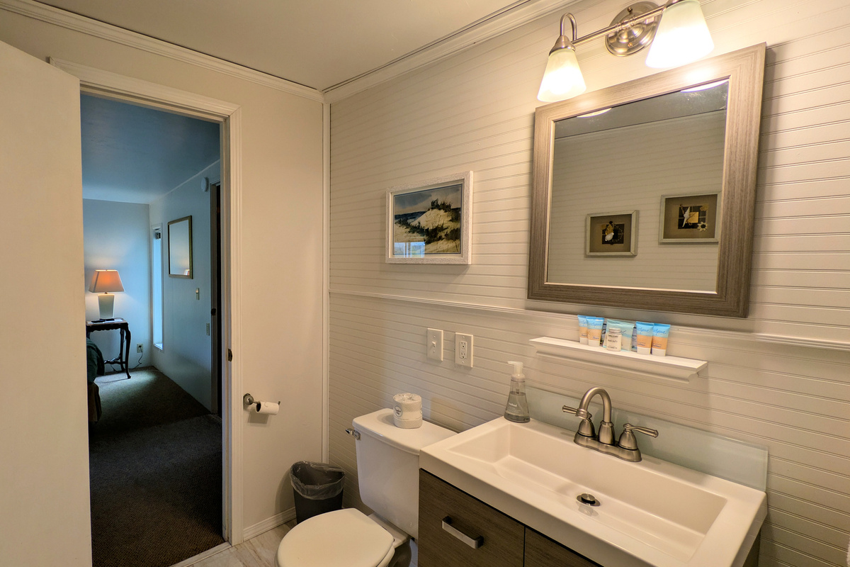 ensuite bath with shower tub combo