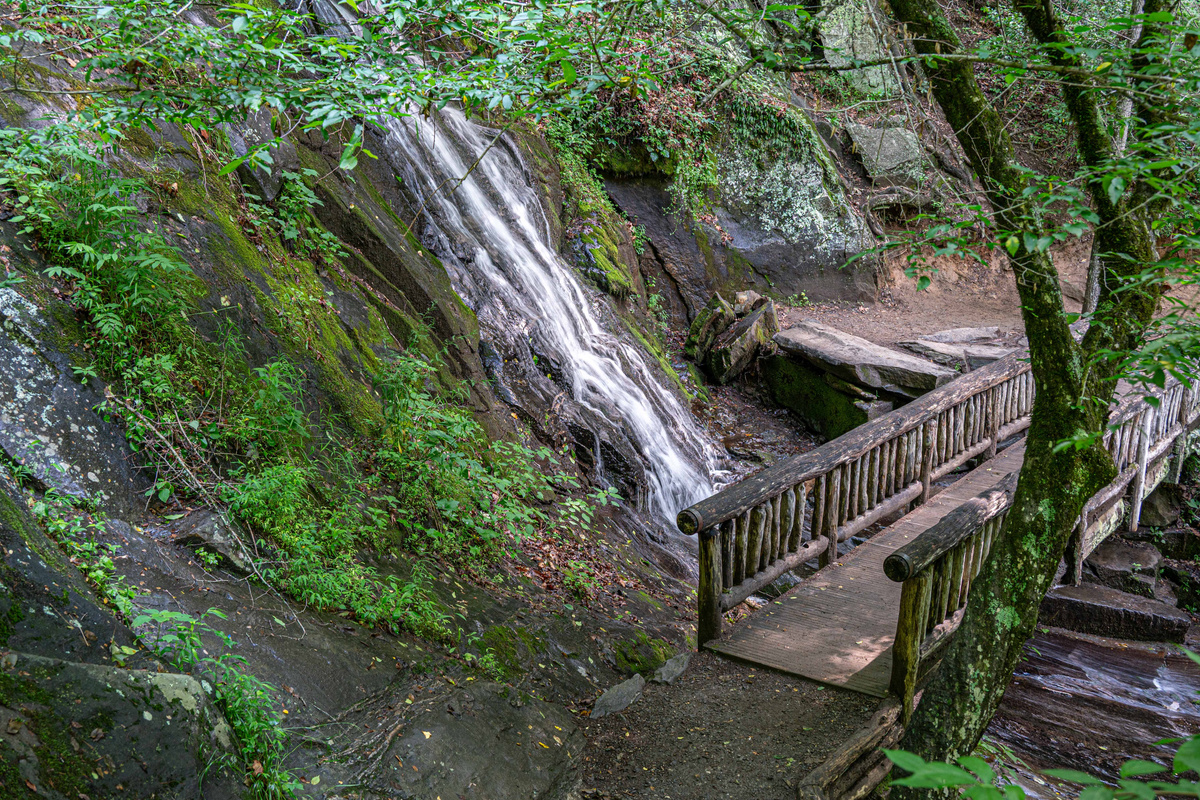 Nature’s Hideaway: Stroll over the charming bridge to discover a tranquil waterfall oasis!